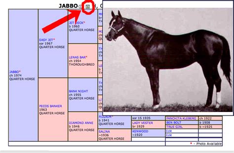 all breed pedigree horse|pedigree online all breed database.